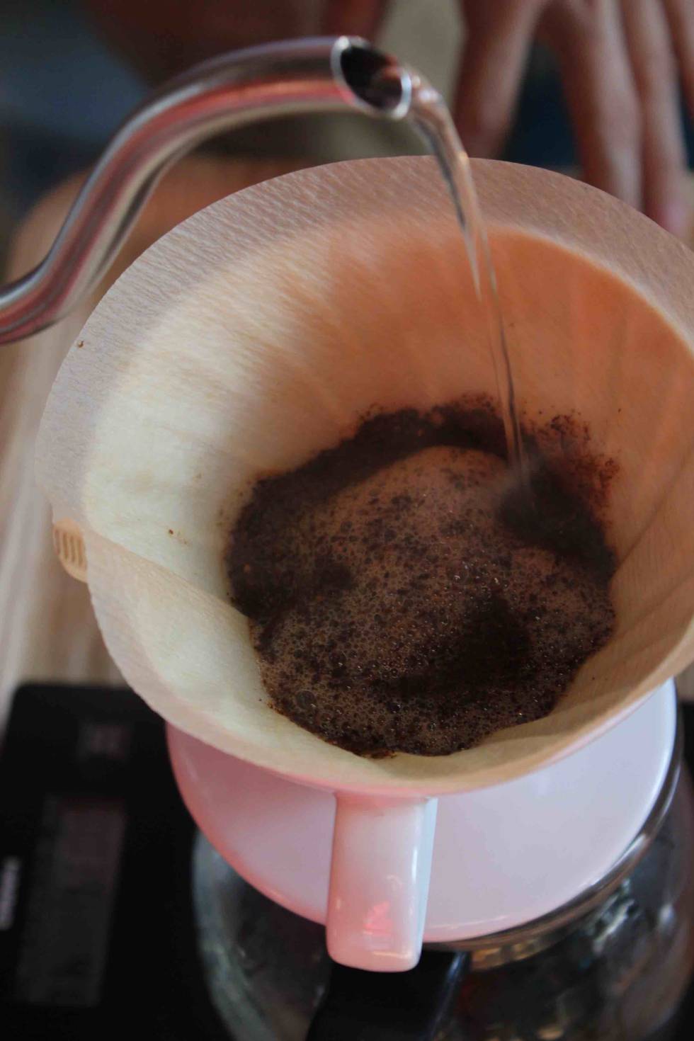 Descubriendo la excelencia del café con la cafetera Hario V60