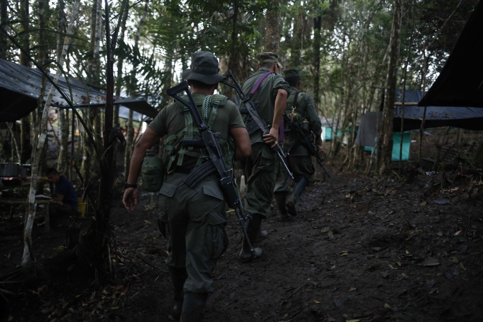 Los guerrilleros están concentrados en El diamante, en las selvas del Yarí en COlombia 