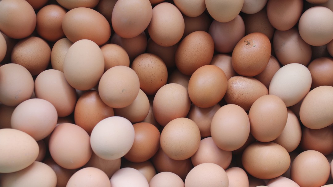 ¿Precio del huevo y pollo aumentaría por efectos tributarios de transporte?