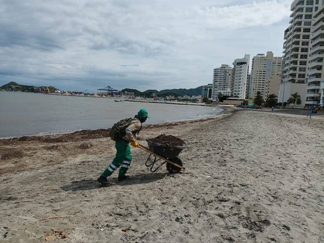 Limpieza de playas y calles de Santa Marta / Atesa