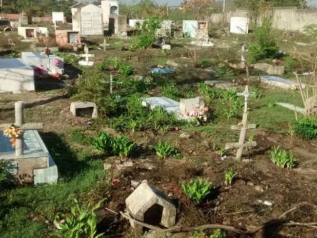 Cementerio de Málaga llega al límite por COVID