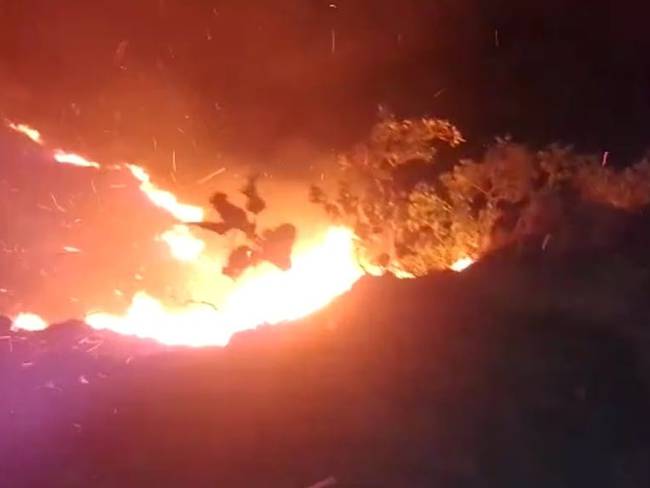 Incendio forestal de gran magnitud se reporta en Carmen de Apicalá.
