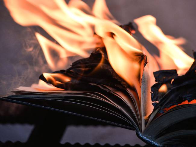 Libros sobre Harry Potter y Crepúsculo fueron lanzados al fuego por un cura