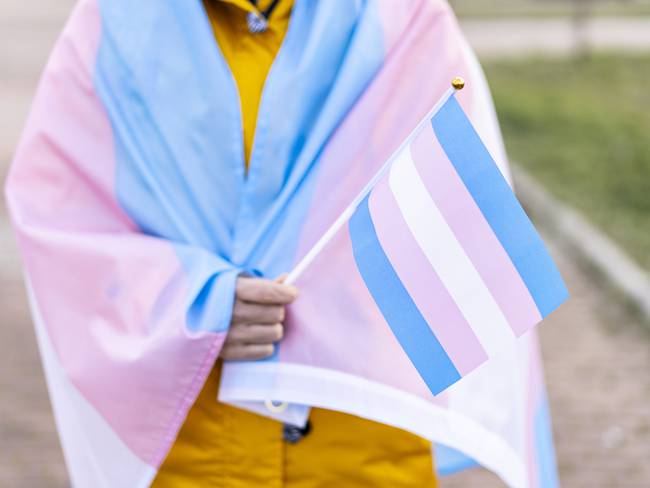 Imagen de referencia de bandera transgénero.
