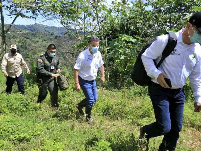 Gobernador de Antioquia no descarta la aspersión aérea en cultivos ilícitos