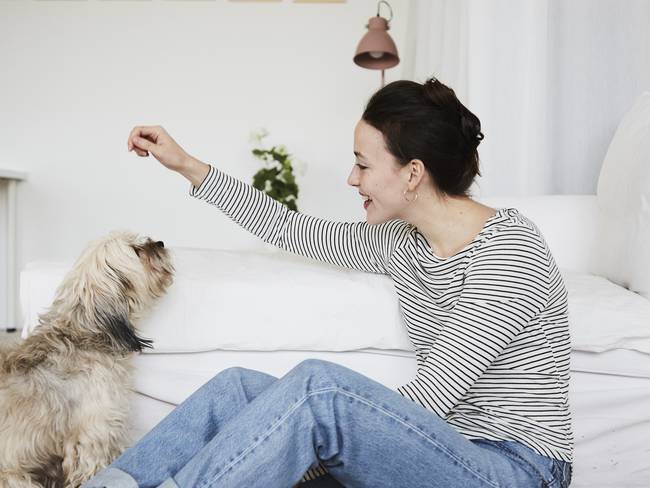 Mujer entrenando a su perro en casa (Foto vía Getty Images)