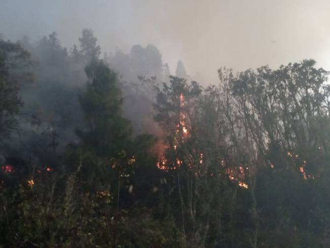 Incendio forestal en Úmbita / Cortesía: Bomberos Úmbita.