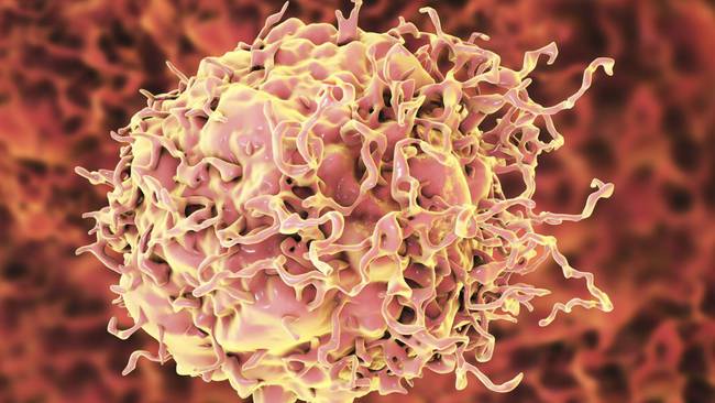 Un fármaco logró desaparecer el cáncer de colon en un grupo de pacientes