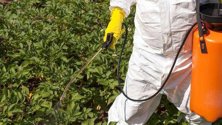 Establecen 0% de arancel a importaciones de plaguicidas y fertilizantes. Foto: Getty Images