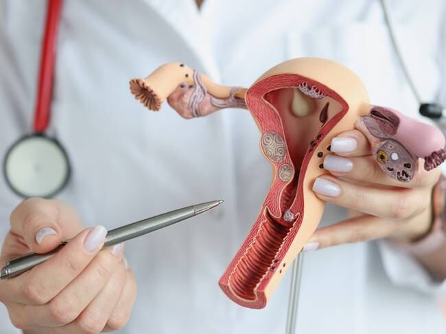 Clitoromegalia: La cirugía para reducir el clítoris, ¿de qué se trata? // Getty Images