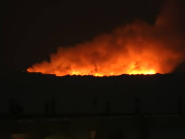 Incendio forestal de grandes proporciones en parque Isla Salamanca