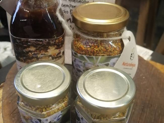 Campesinos de Mutiscua protegen las abejas y ofrecen miel de alta calidad