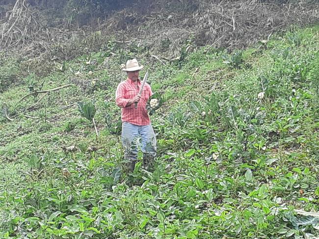 Agricultura está en crisis, dice cultivador de Marinilla, Antioquia
