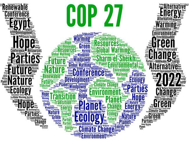 COP 27 / Getty Images