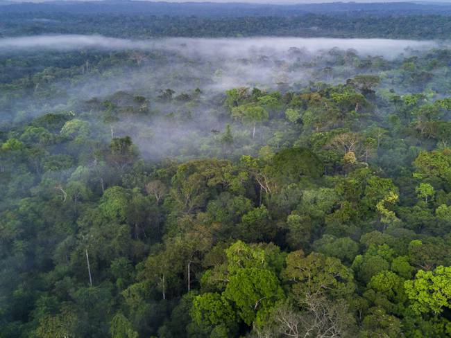 El SINCHI y los acuerdos de conservación en 65.260 hectáreas de bosque amazónico