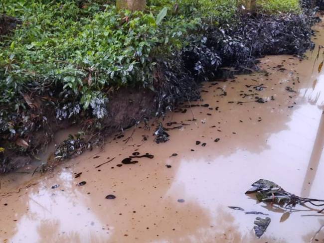 Fauna, la más afectada por derrame de hidrocarburos en Barrancabermeja