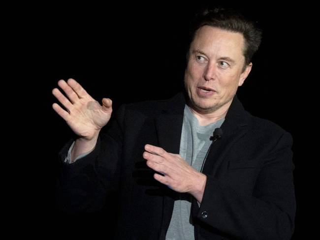El multimillonario y dueño de Tesla, Elon Musk 