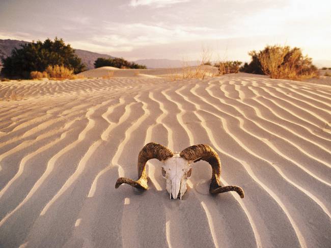 El Valle de la Muerte es el segundo parque nacional más grande de Estados Unidos. Foto vía Getty Images