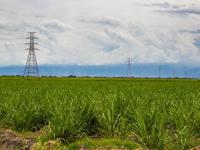 Colombia organizará Congreso Mundial de Técnicos de la Caña de Azúcar