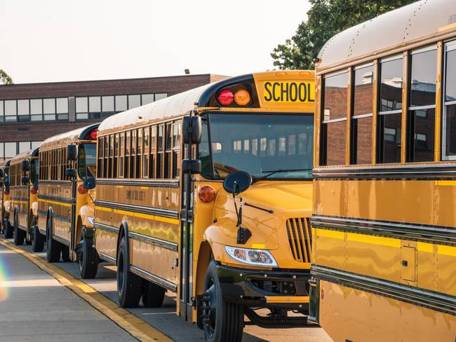 yellow buses lined up in front of school ready for first day