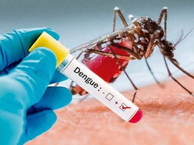 Dengue -Foto archivo cortesía