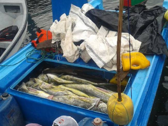 29 detenidos este año por pesca ilegal en el Pacífico