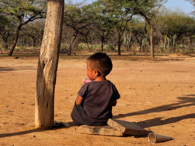 Niño wayúu con desnutrición crónica, imagen de referencia. (Colprensa - Nicolás Téllez)