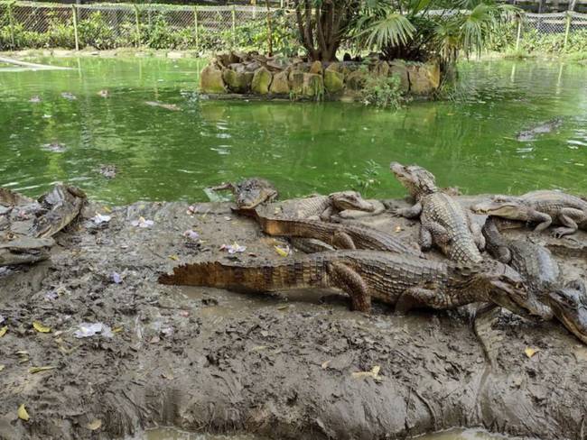 Parque Temático Vivarium: el hogar de la fauna de bosque seco en Cartagena