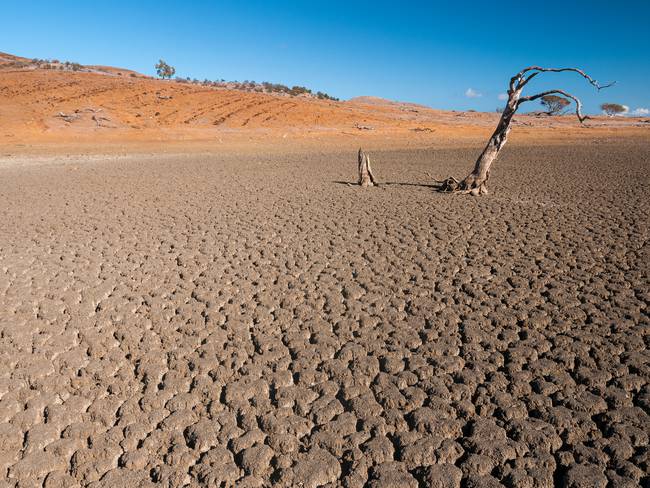 Fenómeno El Niño - Getty Images
