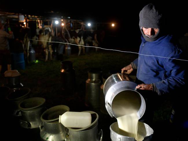 Productores de leche han perdido 93mil millones de pesos debido a bloqueos