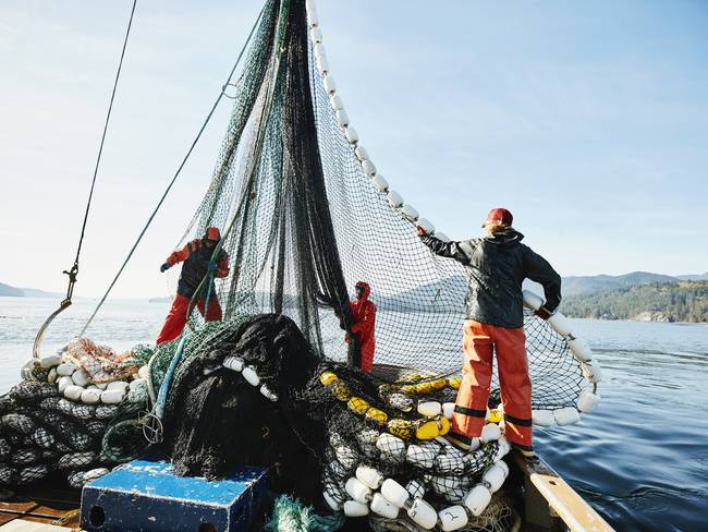Crew members of purse seiner hauling in net while fishing for salmon