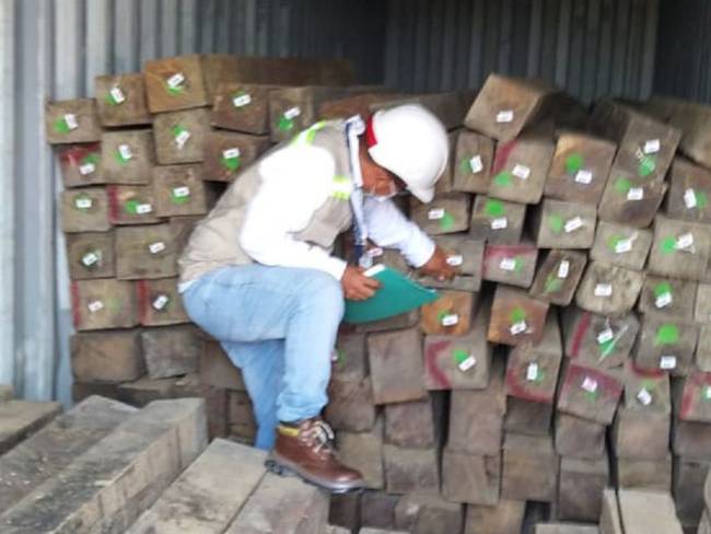 Las autoridades encontraron 330 metros cúbicos de madera rolliza, equivalente a 145 trozas