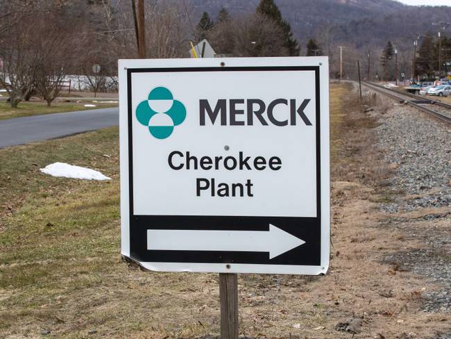 Planta de Merck