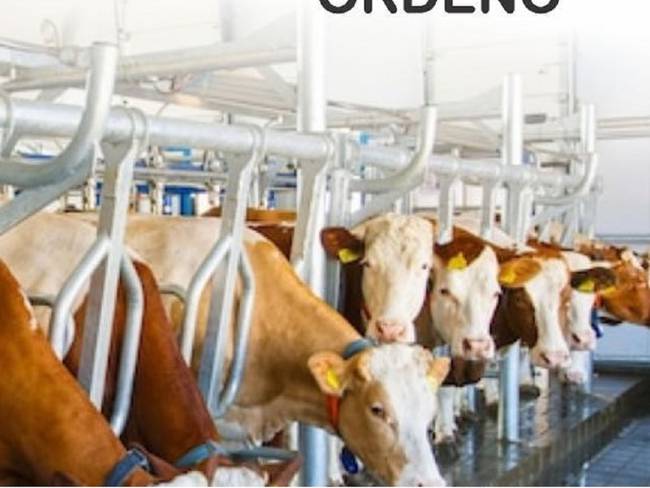 Preocupación por producción de leche en Quindío
