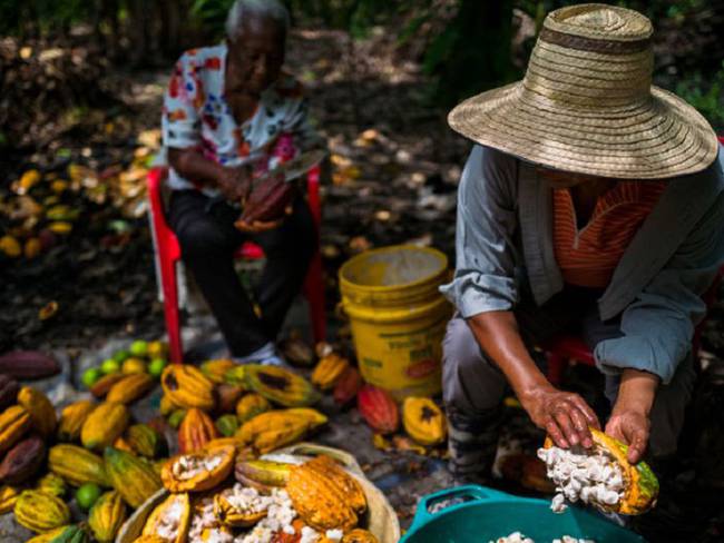 La seguridad alimentaria de Colombia analizan en la Universidad Nacional
