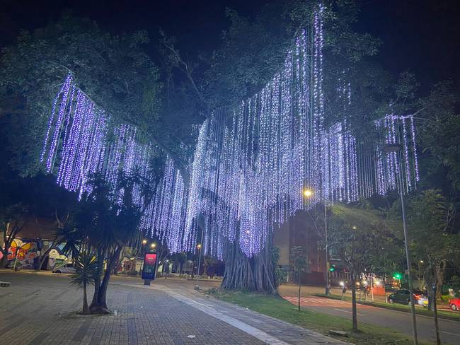 Solo un parque de Bucaramanga no enciende alumbrado navideño hoy