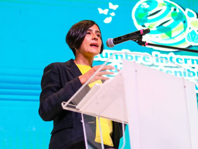 Susana Muhamad, ministra de Ambiente y Desarrollo Sostenible. Foto: Caracol Radio.
