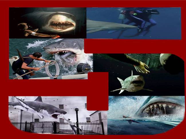 Top 5 de largometrajes sobre tiburones