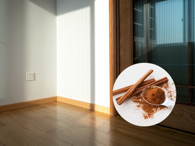 ¿Por qué colocar canela en las esquinas de la casa? (Getty Images)