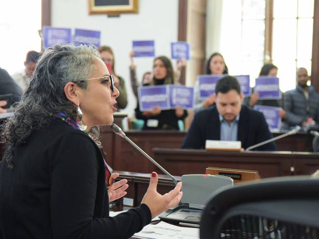 Comisión de Ética solo tiene competencia con actuales congresistas: Maria J. Pizarro