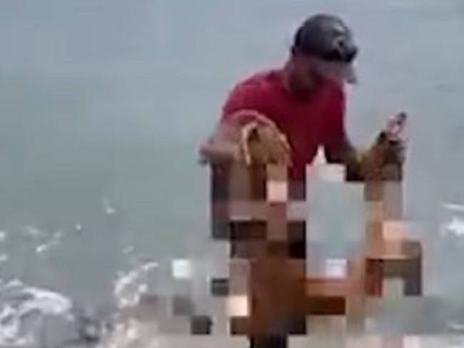 Video | San Andrés: polémica hombre lanza perro al mar para atraer tiburones