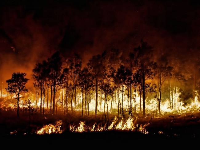 En un 16% aumentaron los incendios forestales en el país