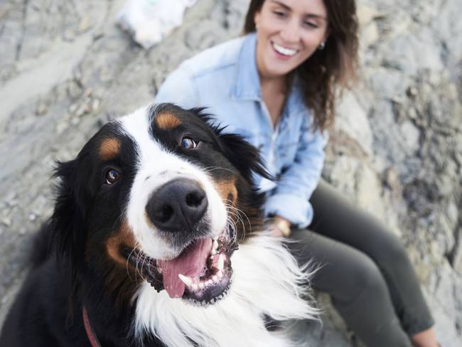 Diez mitos sobre los perros que todo dueño debe desmentir | Getty Images