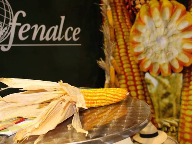 Maiz importado Colombia aspira a producir el 80% del maíz que consume,  antes de 2030 : Colombia aspira a producir el 80% del maíz que consume,  antes de 2030