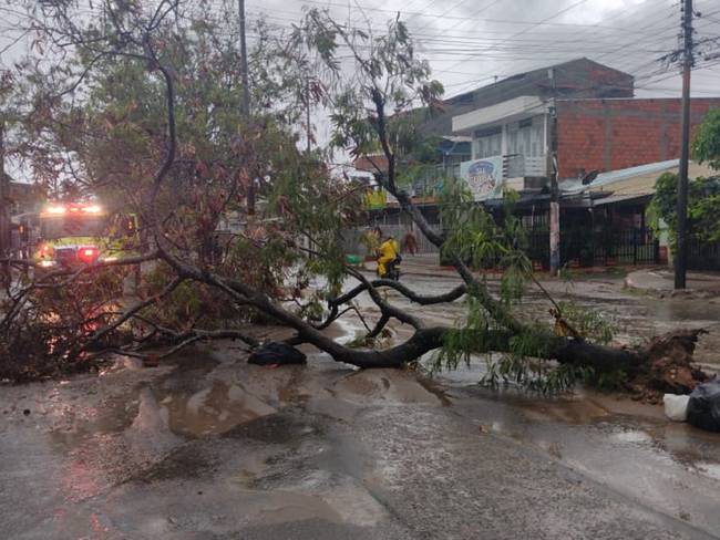 Desbordamientos de quebradas, caída de árboles y vías inundadas reporta Cuerpo de Bomberos.