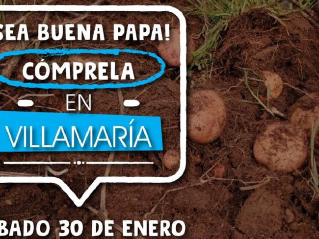 Campaña de compra directa de papa en Villamaría
