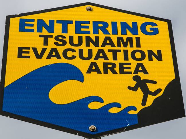 Las autoridades costeras pidieron que las personas que residan en zonas cercanas al mar evacúen inmediatamente hacia zonas altas.