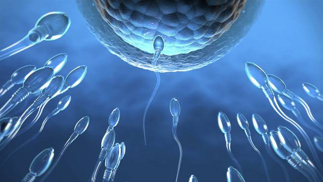 La contaminación del aire podría afectar la cantidad de espermatozoides. Foto: Getty Images/Westend61