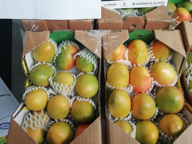 ¿Para dónde va el cultivo de mango de azúcar?