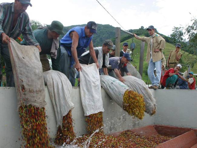 El Gobierno buscará triplicar las exportaciones de café a China